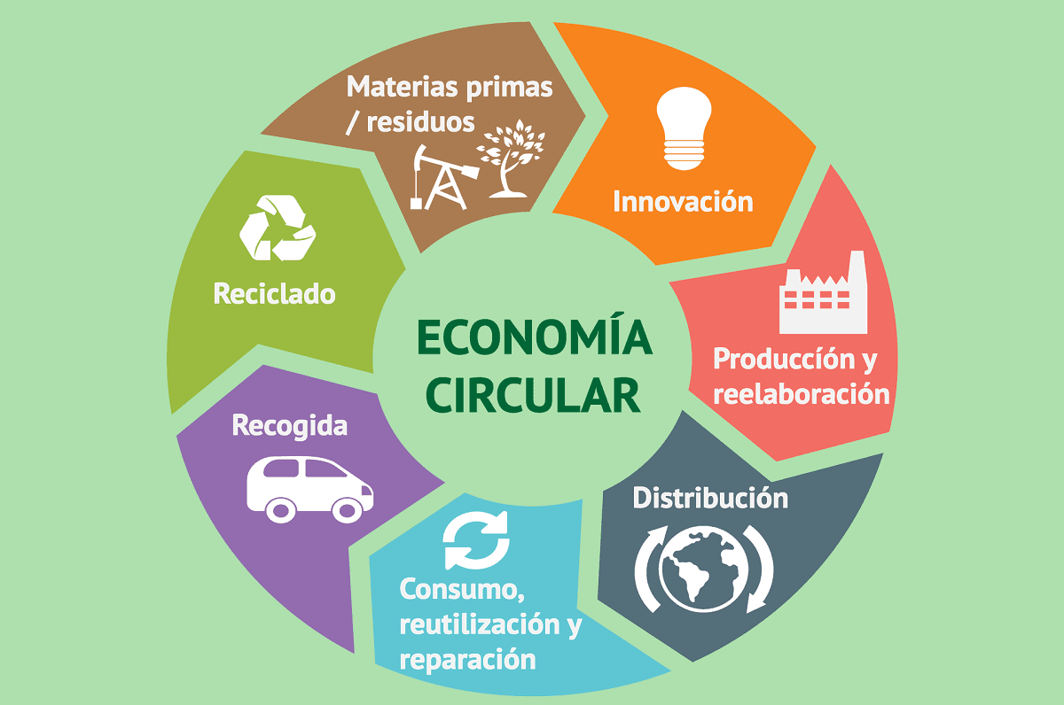 Economía circular: optimizar los recursos para un futuro sustentable - The  Food Tech