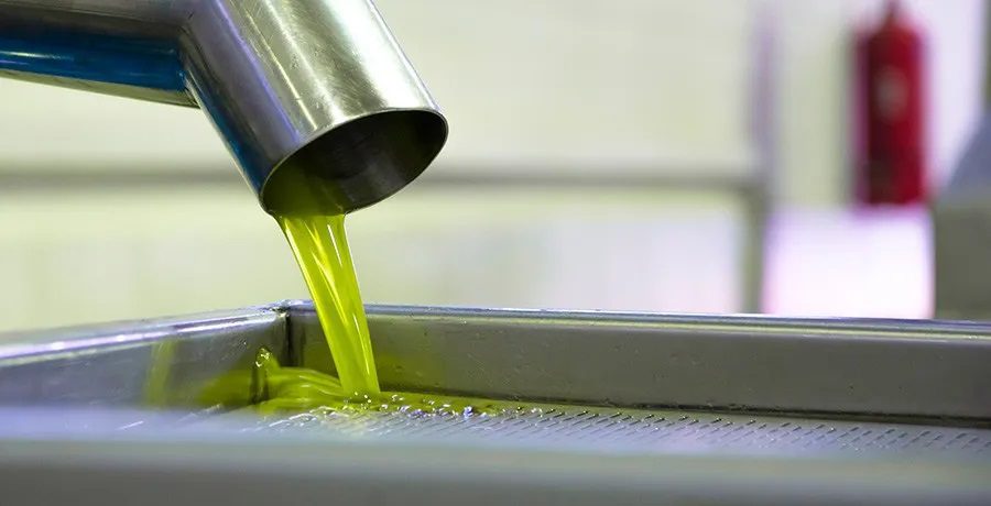 Extracción en frío del aceite de oliva