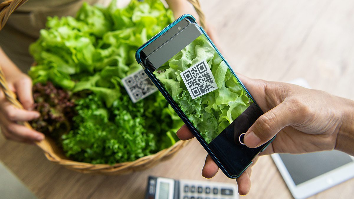 La Digitalización Clave En La Seguridad Alimentaria