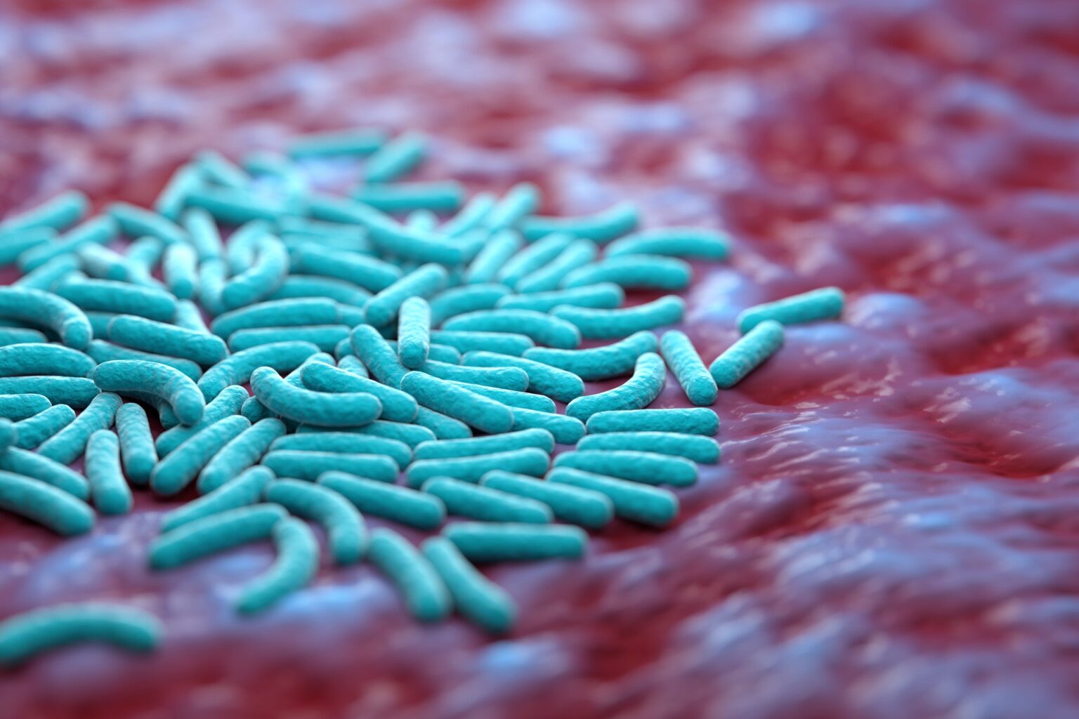 salmonella-los-efectos-que-podr-a-tener-en-la-industria-y-la-salud-humana