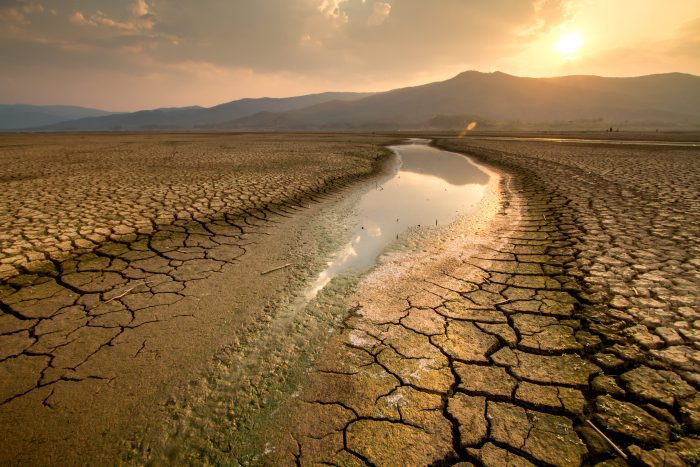 La sequía en el Corredor Seco de Centroamérica empeora, alerta la FAO