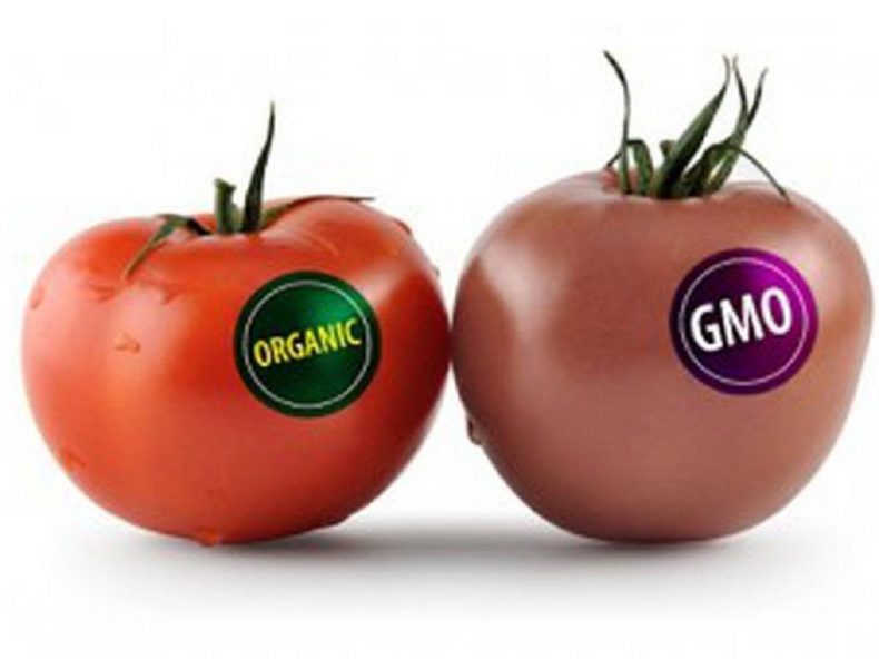 alimentos-GMO