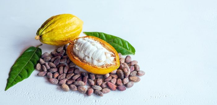 El mucílago de cacao, ingrediente que crece en el arte culinario