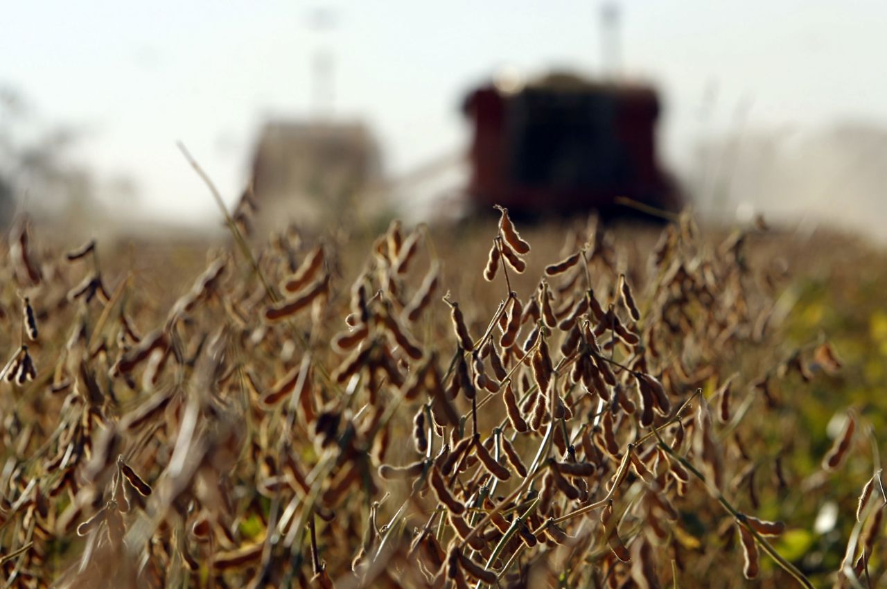 Argentina recortará en 7.300 millones de dólares sus exportaciones de soja