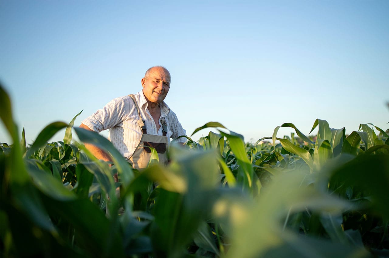 Renewable agriculture